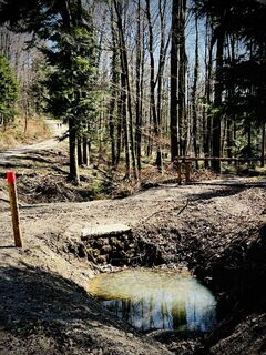 Photo de Kellner Heidi le long du parcours