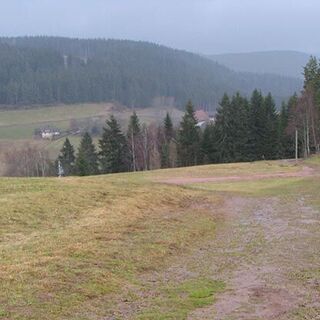 Schwarzwald-Aussichten.