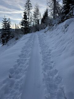 Fotografija s spletne strani Berg Noar na poti