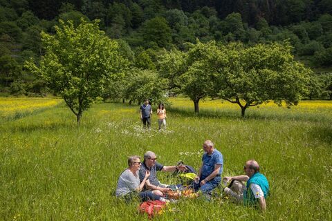 Picknick im Grünen
