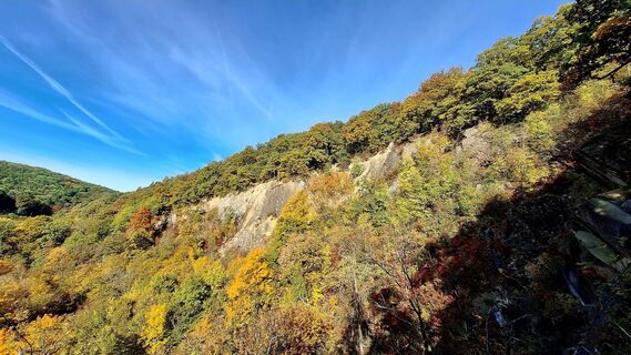 Fotografie z Regina Fleischmann na trase