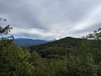 Fotografija s spletne strani Helena Pfeiffer na poti