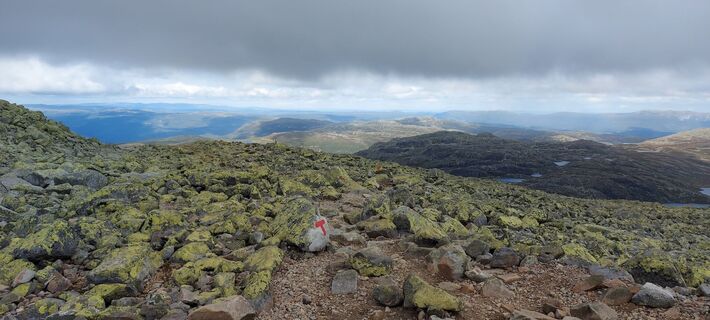 Foto von petra kroes entlang der Tour