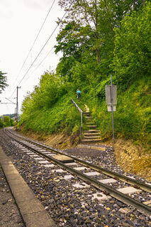 Photo from Leo Fahrngruber along the tour
