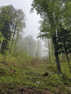 Photo de Katrin Rupprecht le long du parcours