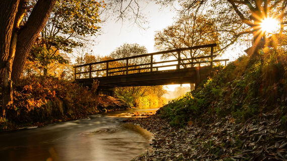 Goldene Herbststimmung an der Mehde nahe Zeven