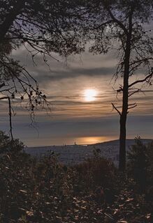 Fotografie z carlos fuentes 1 na trase