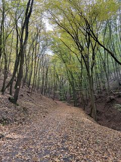 Fotografia z Levente Németh na trase