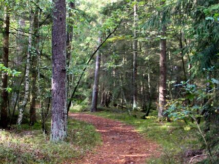 Waldgeschichtspfad im Schooten