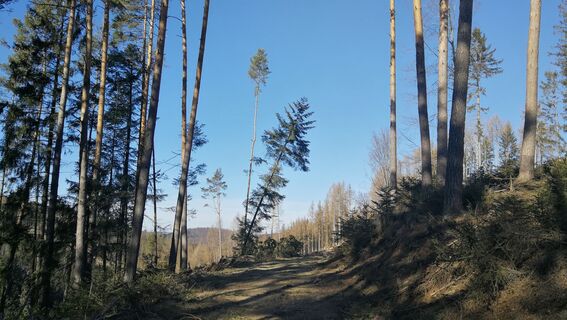 Wanderung rund um Burglemnitz