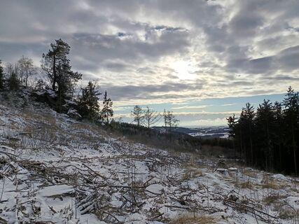 Foto von Harald entlang der Tour