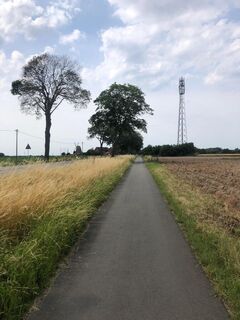 Feldweg