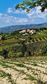 Foto de Fabrizi Mellano a lo largo del recorrido