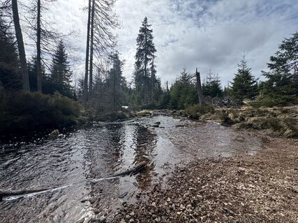 Photo de Ronald Bartel le long du parcours