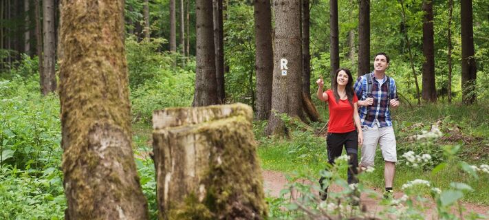 Wanderer unterwegs auf dem Rennsteig