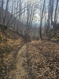 Fotografia z Attila Bicskó na trase