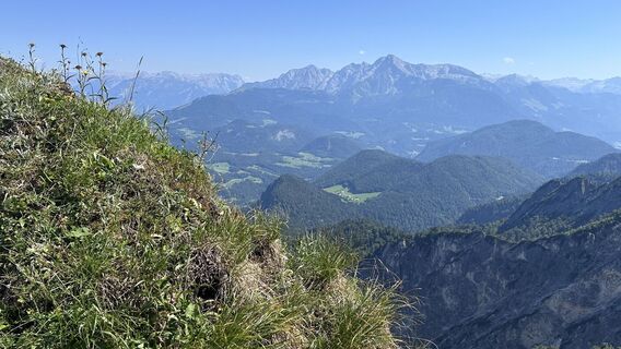 Foto de Mountain Cat ? ⛰️ a lo largo del recorrido