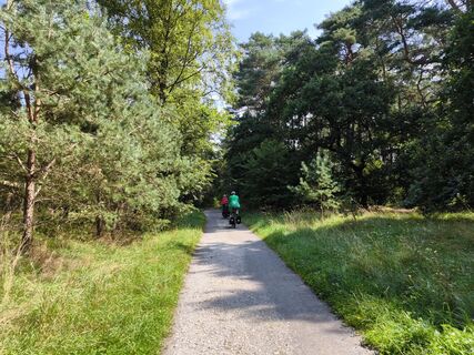 Zemljevid