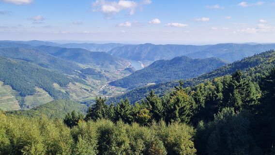 Foto da Ernst Brezina lungo il tour