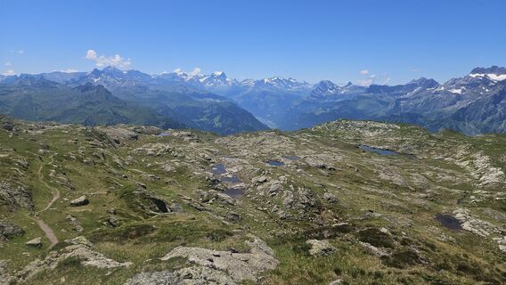 Foto från Teresa Kolbe under resans gång