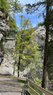 Foto von Guidog entlang der Tour