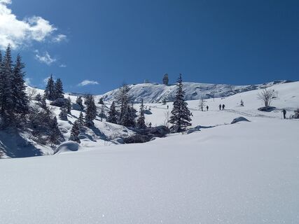 Photo de brimo le long du parcours