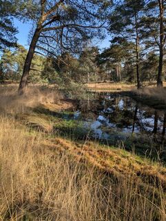 Photo de Matje Derks le long du parcours