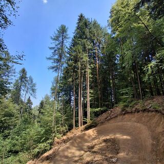 Kathi Truppe Trail T52