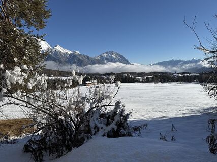 Foto de Grizzli a lo largo del recorrido