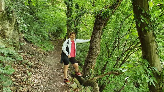 Landschaftlich schöner Weg