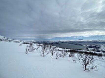 Fotó a Andreas Spatzek honlapról a túra során