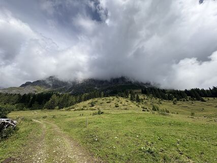 Photo de Dirk Vollbrecht le long du parcours