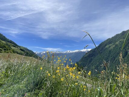Fotografija s spletne strani Lisa Amann na poti