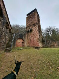 Fotografija s spletne strani Schwartzhox na poti