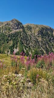 Foto von Fabrizi Mellano entlang der Tour