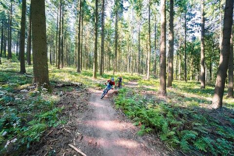 MTB Trails im saarländischen Wald
