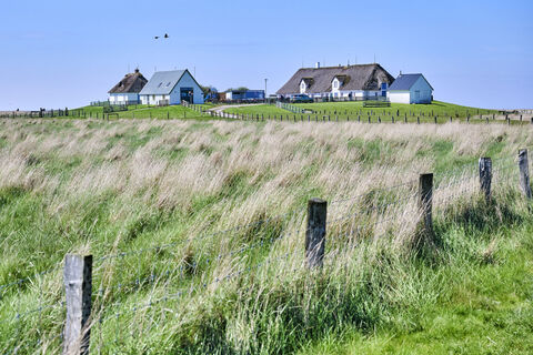 Hamburger Hallig