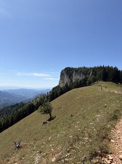 Foto von Julia Frank entlang der Tour