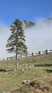 Fotografija s spletne strani ThoWo na poti