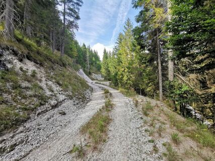 Am Abschnitt "Hubertussee-Runde"