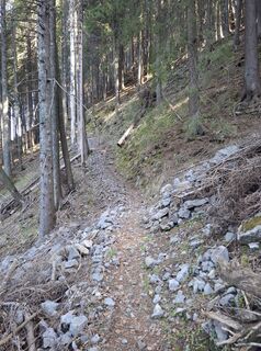 Photo de Miha Gros le long du parcours