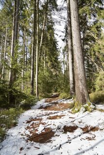 Foto von Werner entlang der Tour