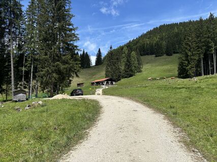 Foto von Sascha scheuermann entlang der Tour