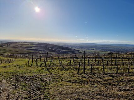 Фото с сайта Maggik во время экскурсии