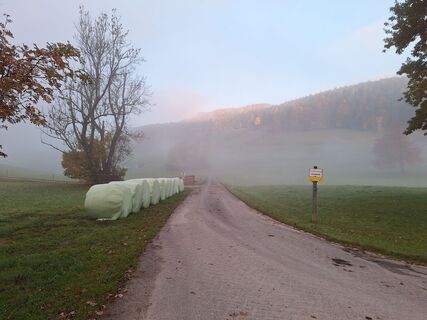 Foto da Hannes Stubauer lungo il tour