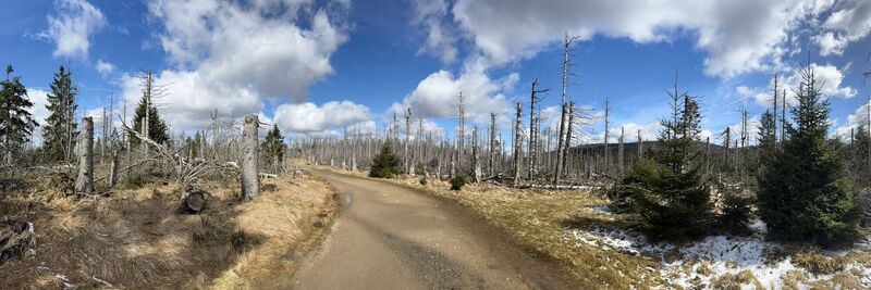Photo de Glennseegers le long du parcours