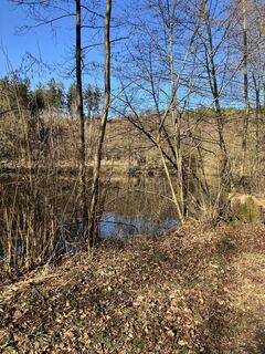 Fotografija s spletne strani Andreas Hotze na poti
