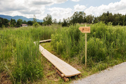 Themenweg - Barfußpfad - Soier See