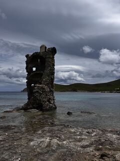 Foto de noddy suter a lo largo del recorrido