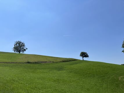 Zdjęcie z Franz Naderer wzdłuż trasy